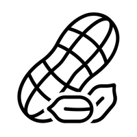 Groundnut